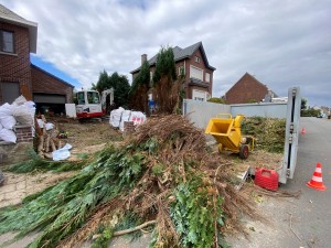 Mise à blanc complète d'un jardin avant conception phase 2 de 6